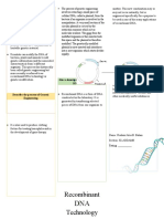 Recombinant DNA2.0