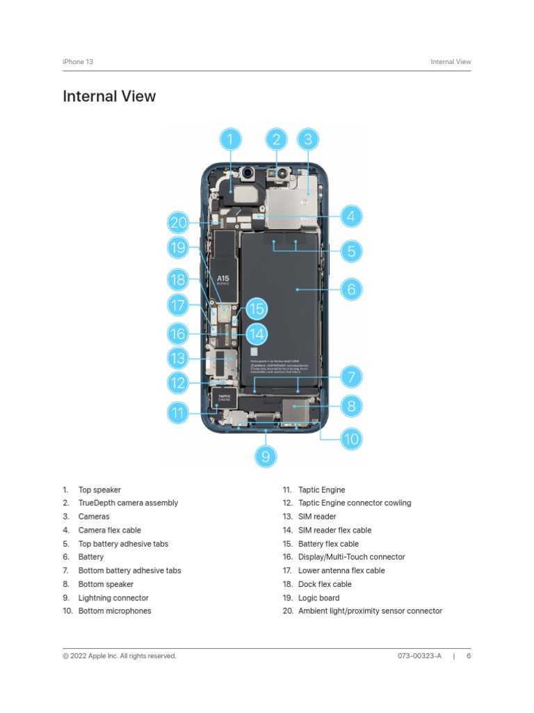 Iphone-13-07300323a-Repair-Internal View & Screw Position | PDF