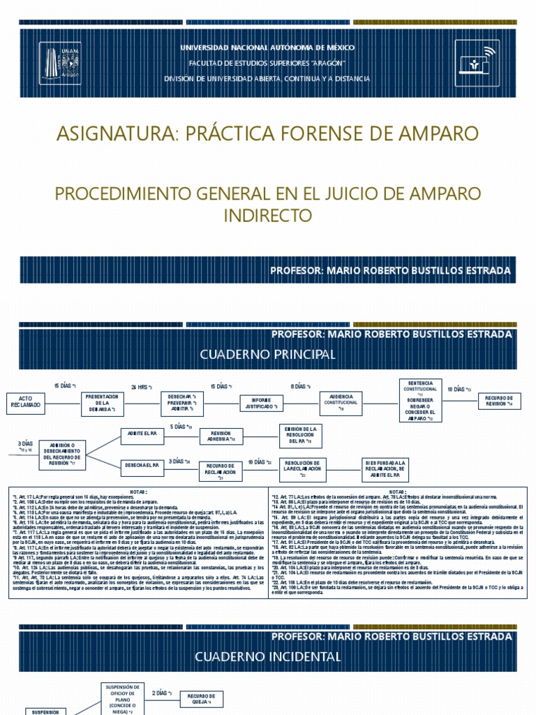 Procedimiento General en El Juicio de Amparo Indirecto | Descargar ...