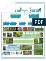 Fitoquimica Plantas