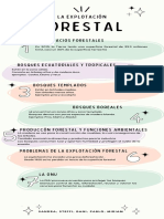 Infografia Explotación Forestal