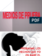 Medios de Prueba