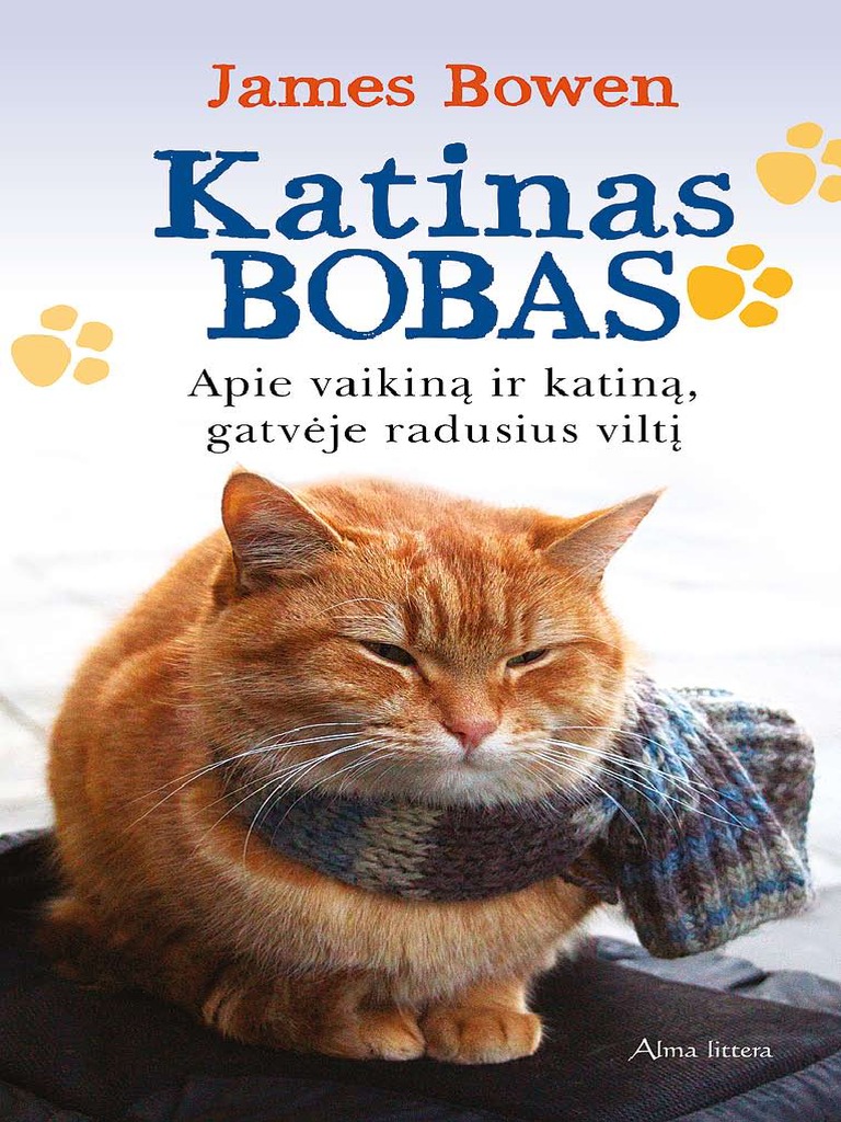 CDB Katinas-Bobas FL | PDF