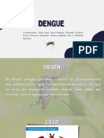 Dengue: sintomas, tratamento e prevenção da doença