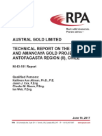 Reporte Guanaco Amancaya Technical Report Jun 16 2017