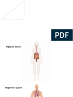 Organ Systems