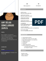 Curriculum Vitae