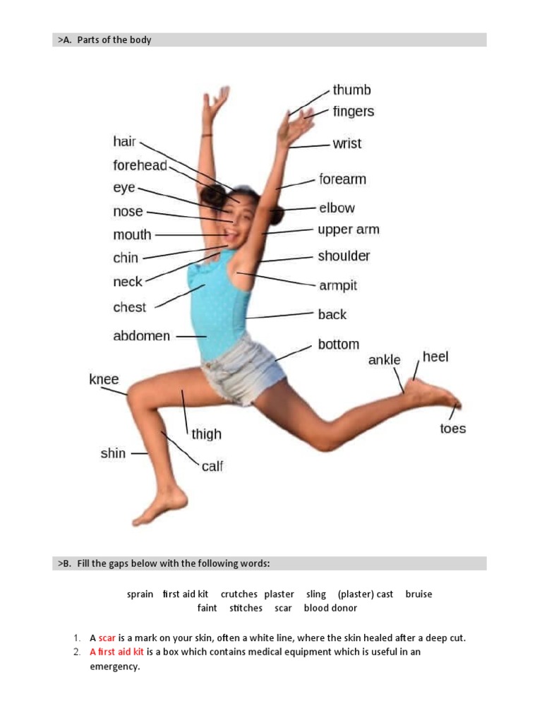 First Aid and Common Medical Terms | PDF | Pain | Therapy