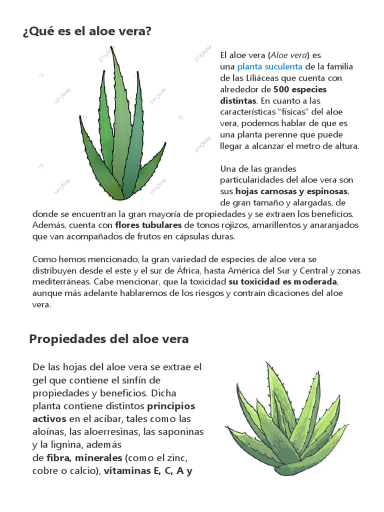 using aloe vera as lube Simply Lube Natural Aloe Vera Lubricant main image 1