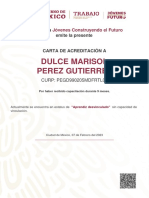 Dulce Marisol Perez Gutierrez: El Programa Emite La Presente