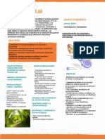 Sistema vestibular y graviceptores como receptores del sistema postural fino