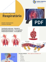 Aula 7 - Sistema Respiratório