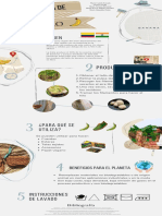 Infografía Fibra de Plátano