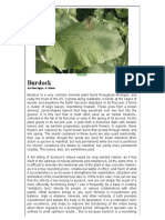 Calculation Creep Api 530 | PDF | Materials | Continuum Mechanics