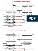 Clase 6 Genes Ligados y Herencia No Mendeliana