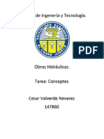 Tarea Conceptos Presas