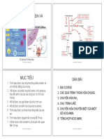 Protein Digestion: Breaking Down Proteins into Amino Acids