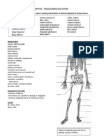 Musculoskeletal System Chapter