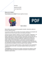 Procesos cognitivos humanos diario reflexivo