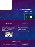 Cuidados Post Mortum