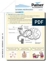 Anatomia 1