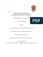 Mapa Conceptual de La Persepcion y La Toma de Decisiones