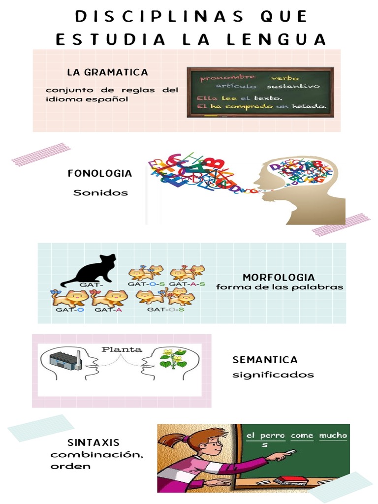 Disciplinas que Estudian la Lengua | PDF | Artes del Lenguaje y ...