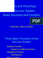 Nervous System Structure and Function