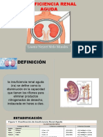 Insuficiencia Renal Aguda 2