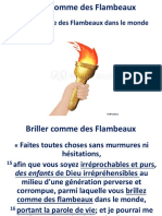 Briller Comme Des Flambeaux (1)