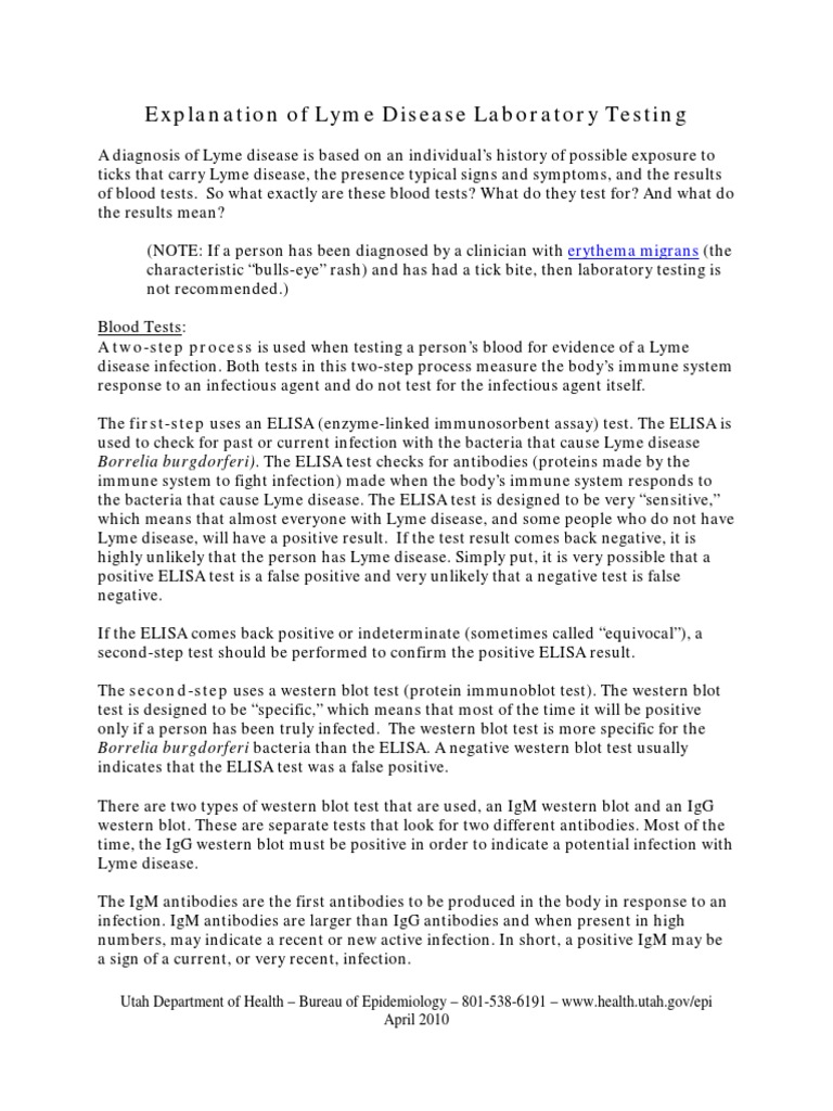 Lyme Disease Lab Testing Explanation PDF Lyme Disease Elisa