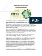 Esteban Sánchez Malagón - COP 27