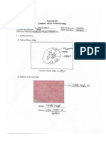 Laboratory Exercise 2 Animal Cell Structure