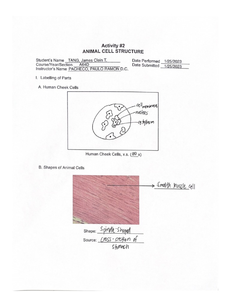 Laboratory exercise 2 animal cell structure pdf