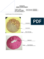 (TANG A64D) Act06AnimalDevelopmentExercise