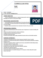 Curriculum Vitae Summary