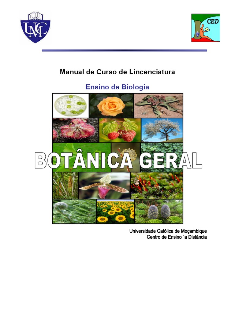Modulo Botanica Geral 2010 | PDF | Raiz | Taxonomia (Biologia)