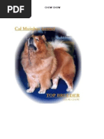 Download chow chow by Daniel Rasia SN62726163 doc pdf