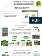 Principios y Criterios FSC