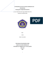 LP Pneumonia