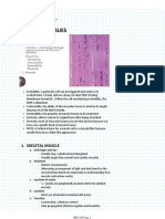 Histology Pt. Ii