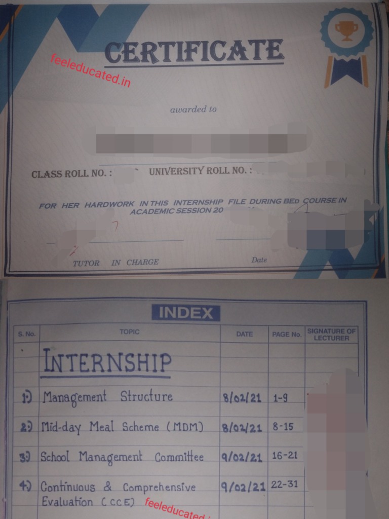 Bed Internship File Full PDF Download PDF