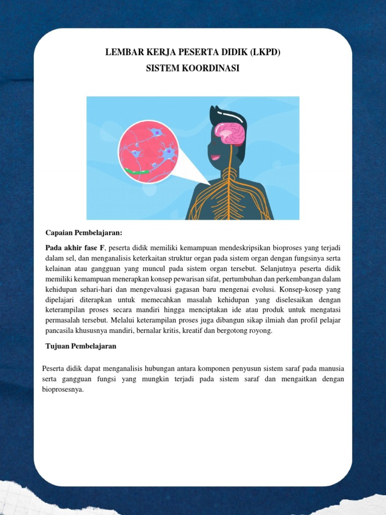 LKPD Sistem Koordinasi Kelas 9 | PDF | Kesehatan Holistik | Sains ...