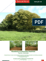 Woodland at Crowcombe Heathfield: Auction Guide 8,000 - 10,000