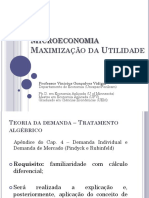 Maximização da utilidade com restrição orçamentária