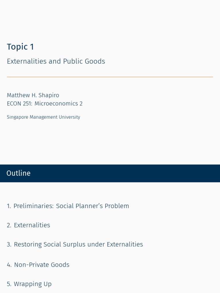 Understanding Externalities and Public Goods | PDF | Externality ...