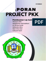 Lap Project PKK