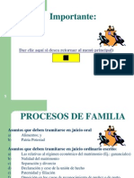 17 Presentacion Proceso Familia