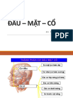 4a.co Dau Mat Co