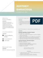 Joffrey Saragosa: Profil Personnel
